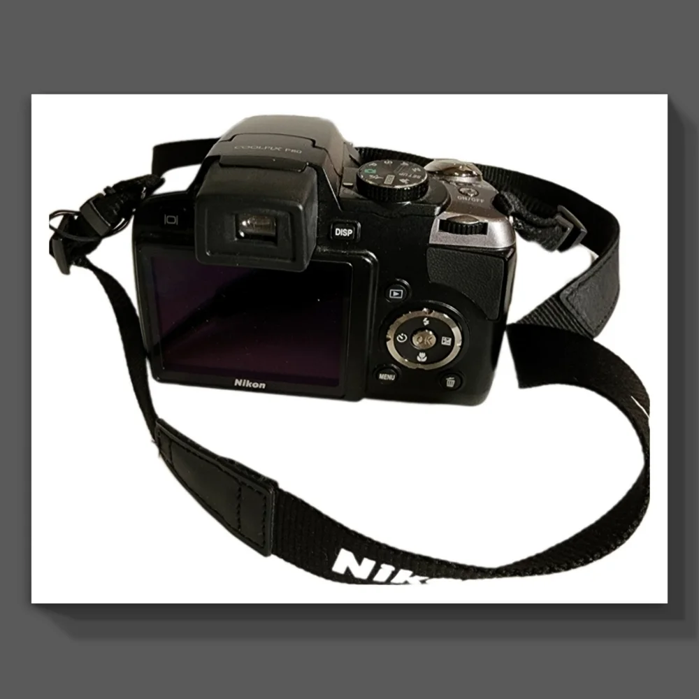 Nikon Coolpix P80 Camera